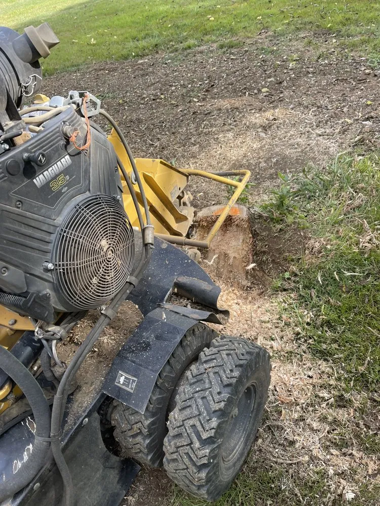 Local lawn care service in Brooksville, KY by Precision Property Services