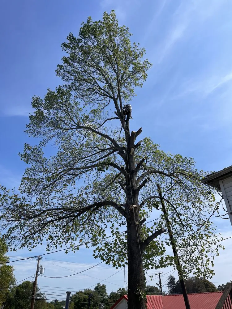 Expert garden landscaping in Brooksville, KY - Precision Property Services