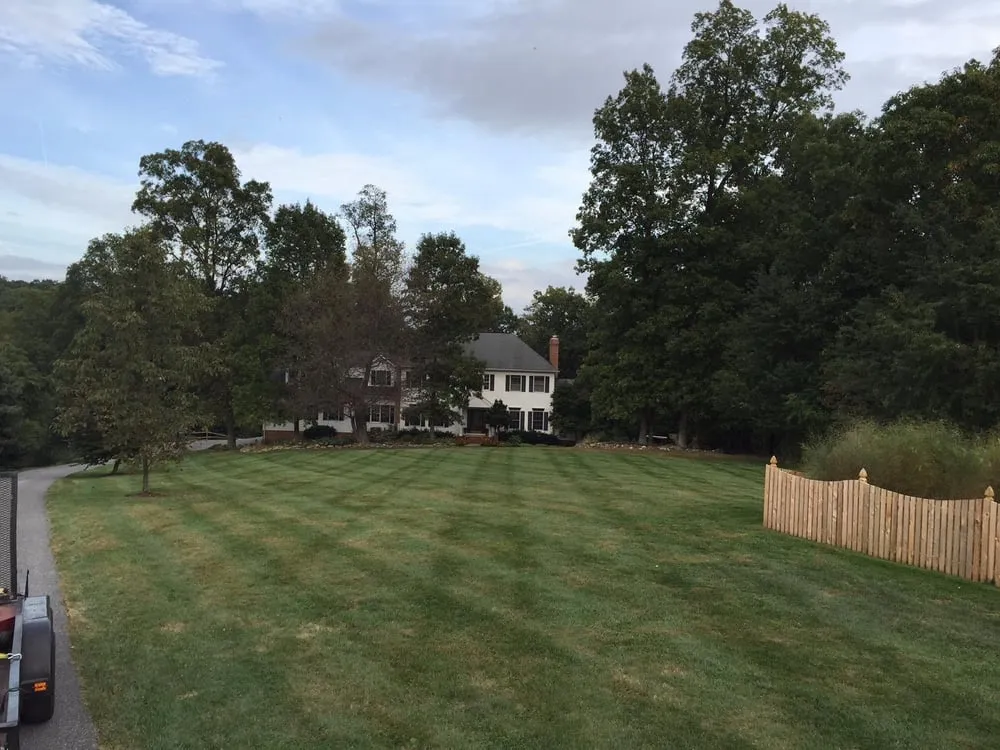Expert yard cleanup service with custom design across Westminster, MD - Precision Property Services