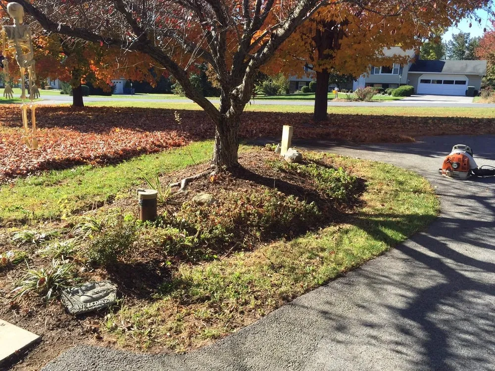 Reliable residential landscaping for beautiful yards in Westminster, MD by Precision Property Services