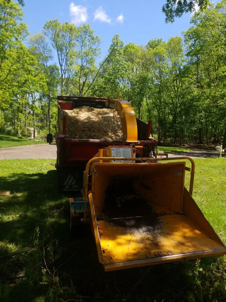 Top-rated yard maintenance for beautiful yards in Middletown, CT by Precision Property Solutions LLC