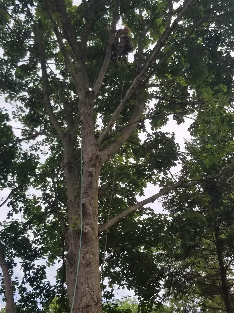 Reliable landscape installation experts serving Middletown, CT - Precision Property Solutions LLC