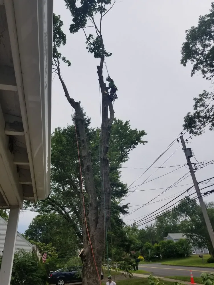 Professional garden landscaping for beautiful yards in Middletown, CT by Precision Property Solutions LLC