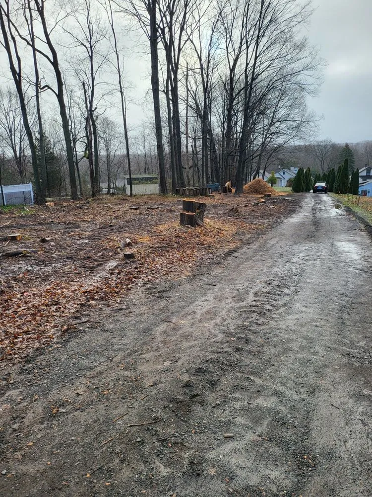 Trusted residential landscaping for year-round maintenance across Middletown, CT - Precision Property Solutions LLC