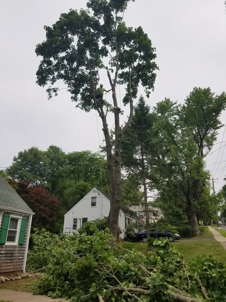 Trusted yard cleanup service experts serving Middletown, CT - Precision Property Solutions LLC