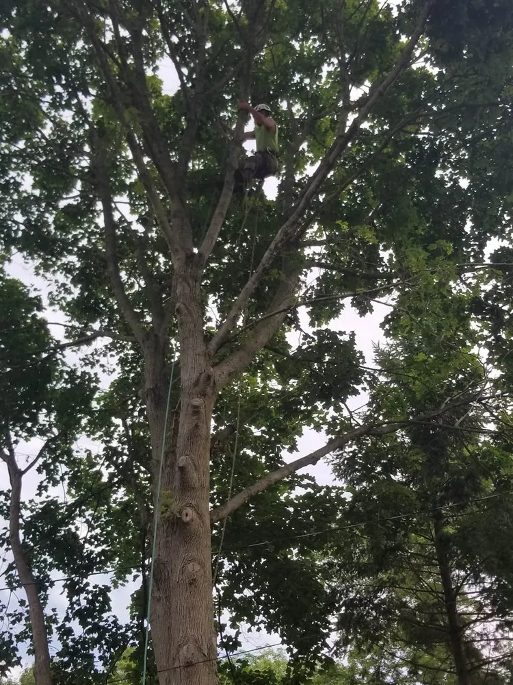 Local lawn care service with custom design in Middletown, CT by Precision Property Solutions LLC