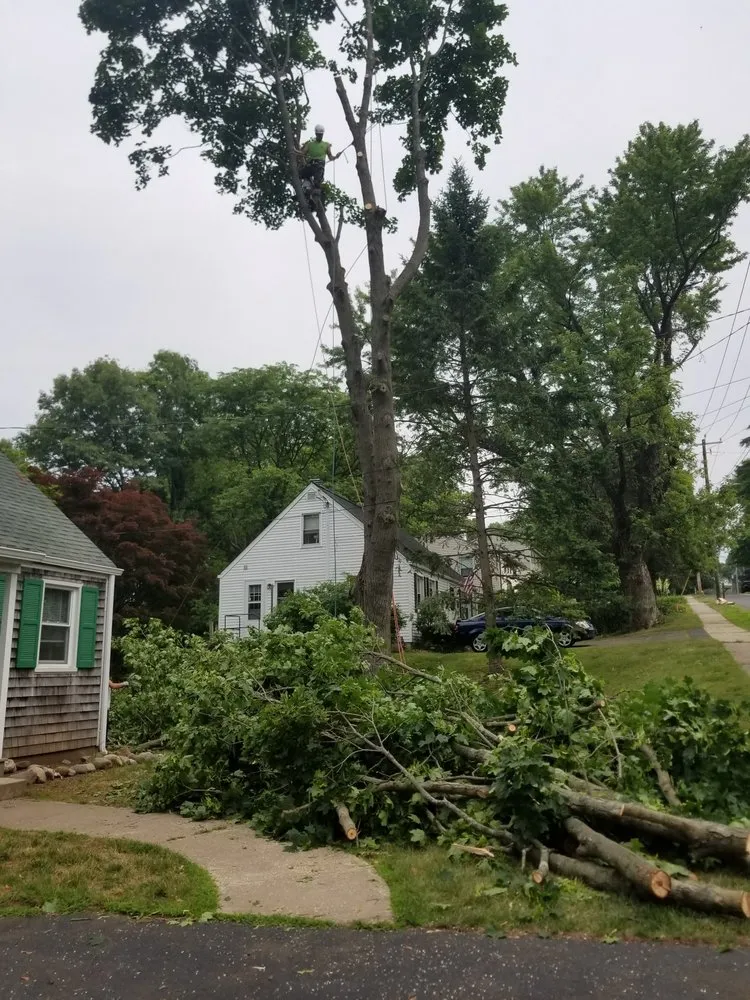 Custom landscape design in Middletown, CT - Precision Property Solutions LLC