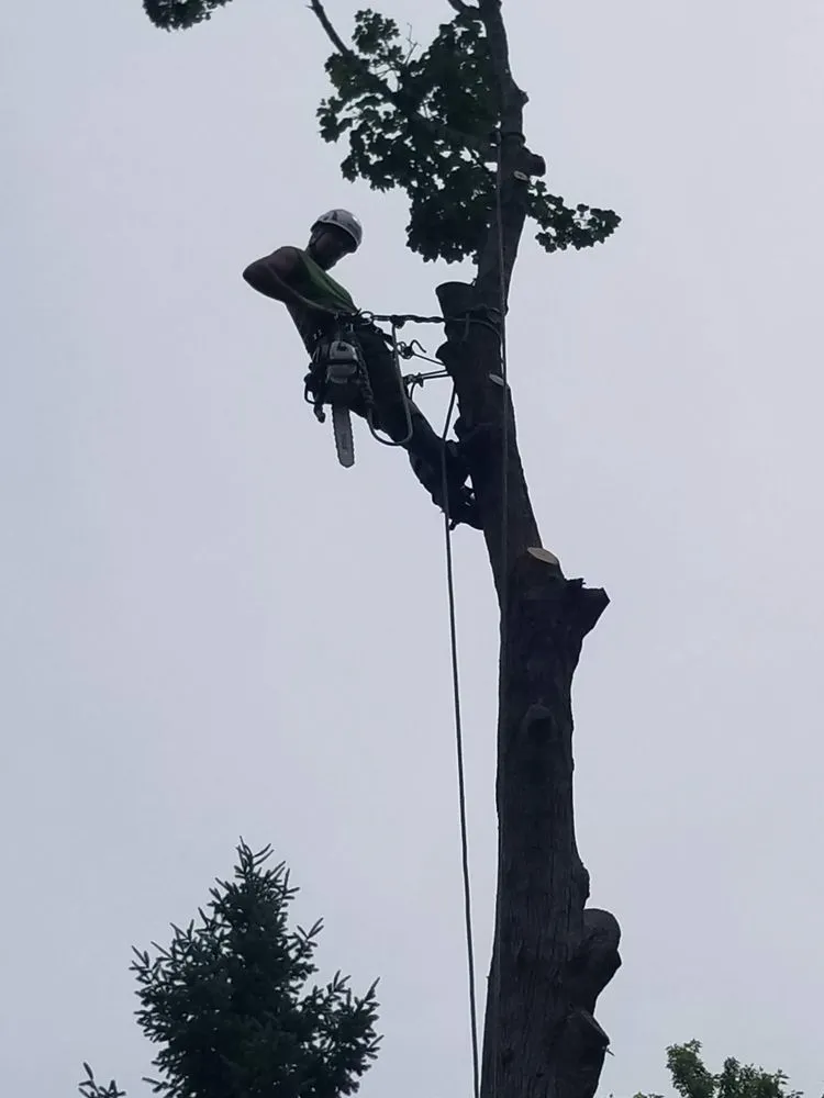 Custom landscape installation experts serving Middletown, CT - Precision Property Solutions LLC