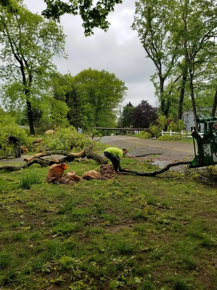 Affordable residential landscaping near you across Middletown, CT - Precision Property Solutions LLC