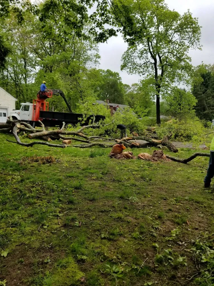 Affordable landscape installation for outdoor upgrades across Middletown, CT - Precision Property Solutions LLC