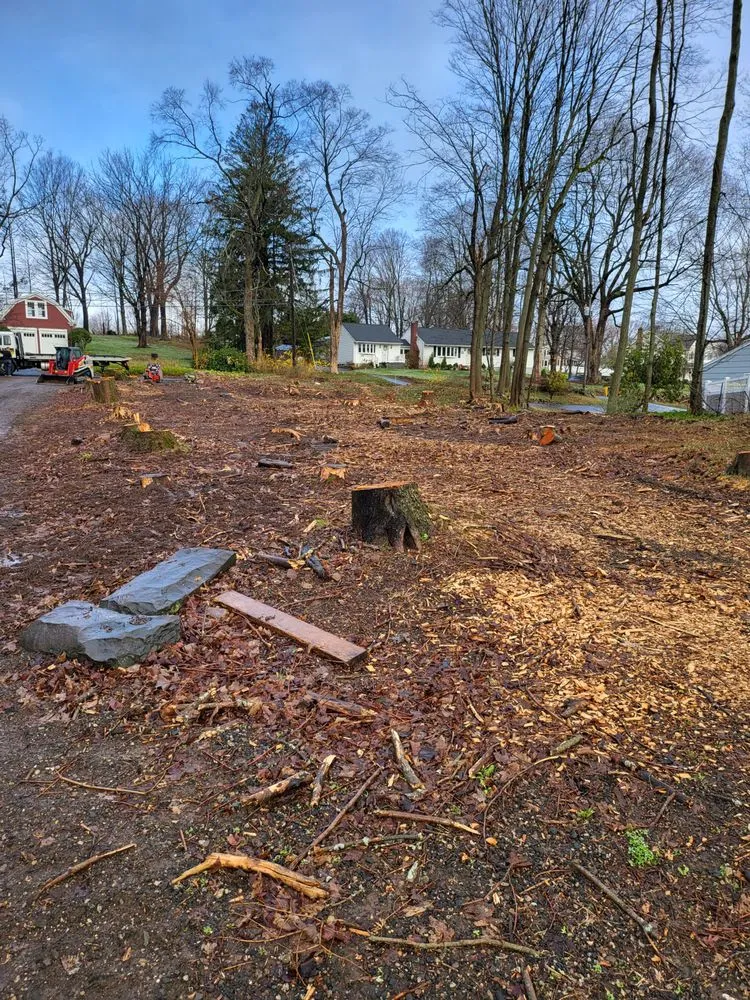 Trusted lawn care service for outdoor upgrades across Middletown, CT - Precision Property Solutions LLC