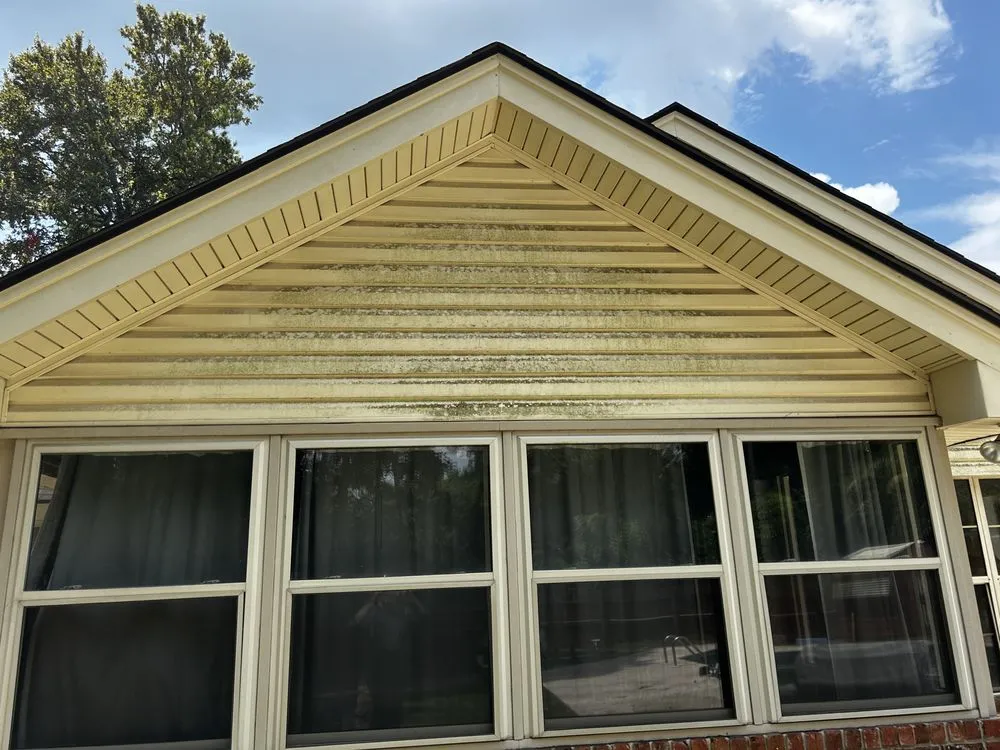 Affordable landscape installation in Ludowici, GA - Precision Property Solutions