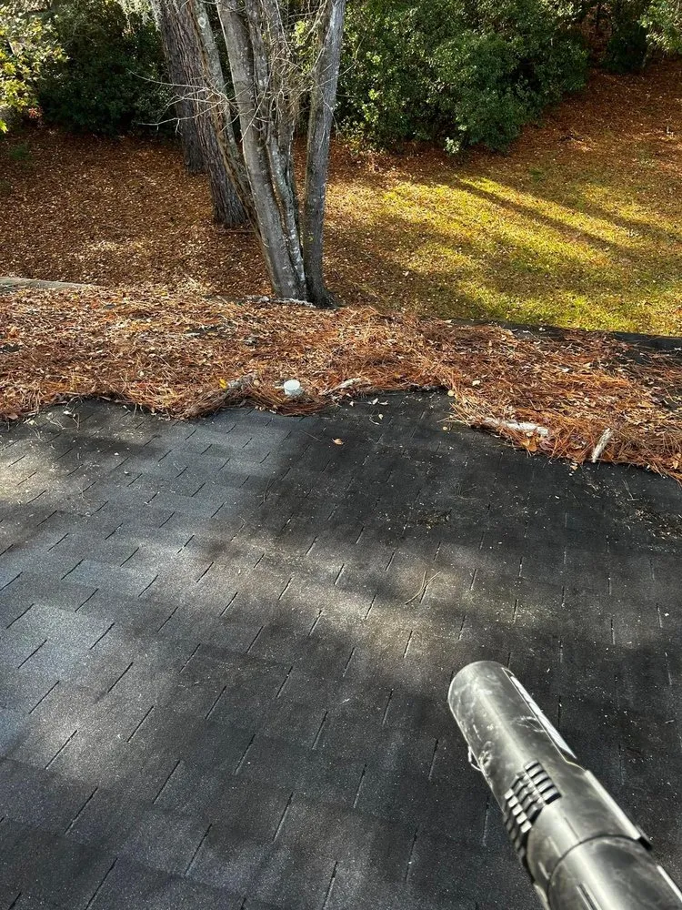 Professional outdoor landscaping in Ludowici, GA by Precision Property Solutions