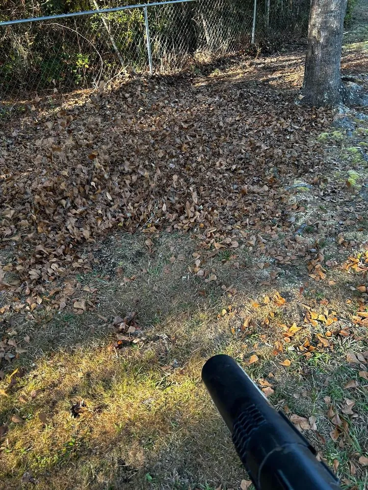 Top-rated lawn mowing service in Ludowici, GA - Precision Property Solutions