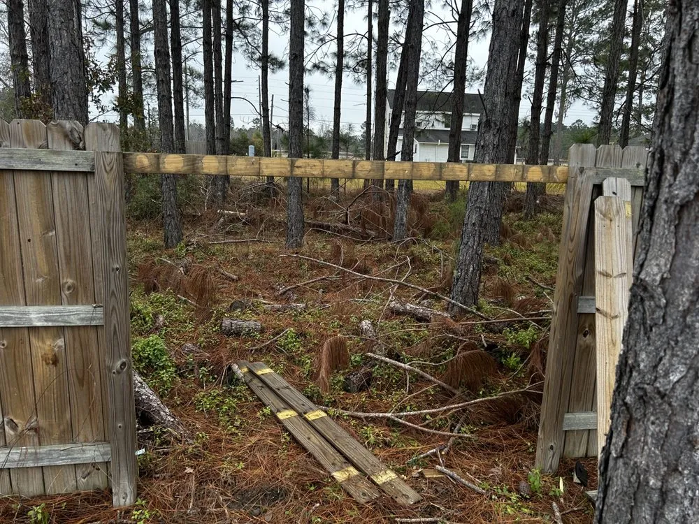 Reliable yard cleanup service in Ludowici, GA - Precision Property Solutions