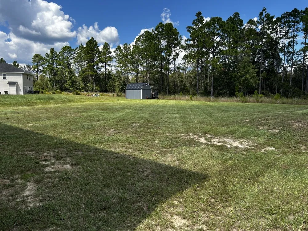 Local landscape installation experts serving Ludowici, GA - Precision Property Solutions