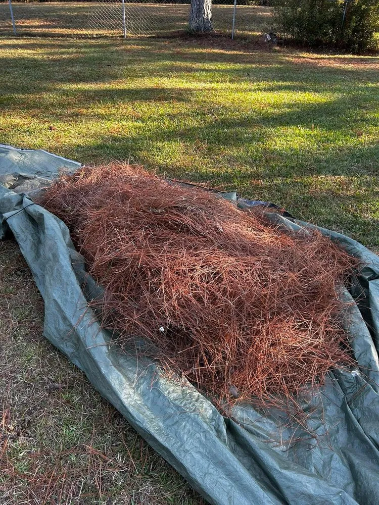 Top-rated landscape installation for residential properties in Ludowici, GA by Precision Property Solutions