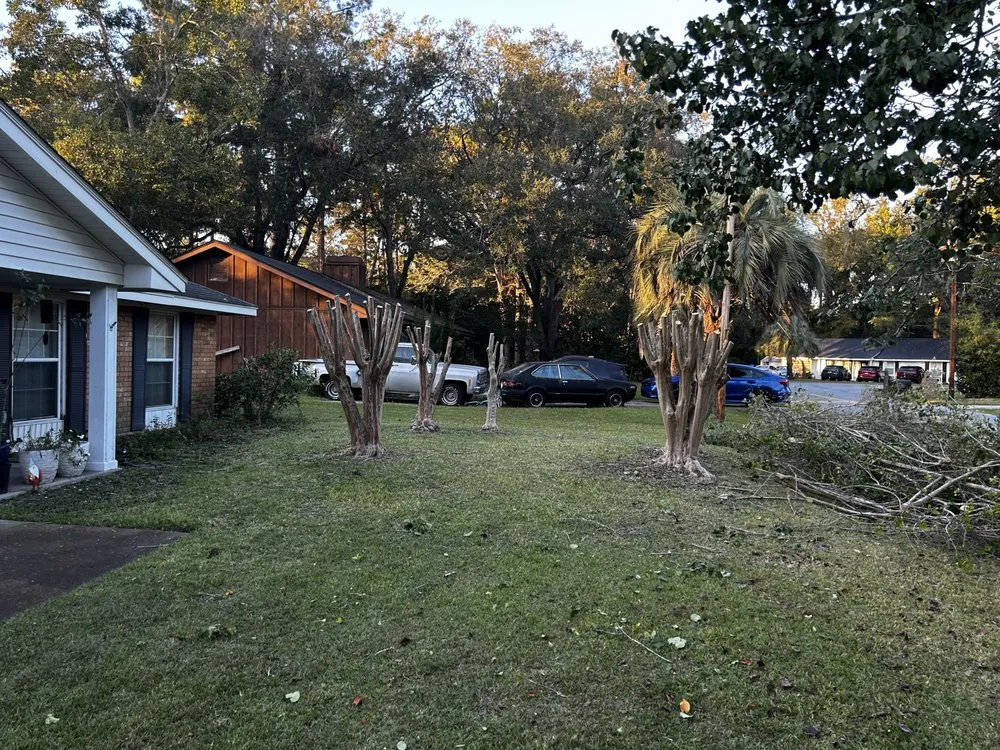 Local residential landscaping for outdoor upgrades across Ludowici, GA - Precision Property Solutions