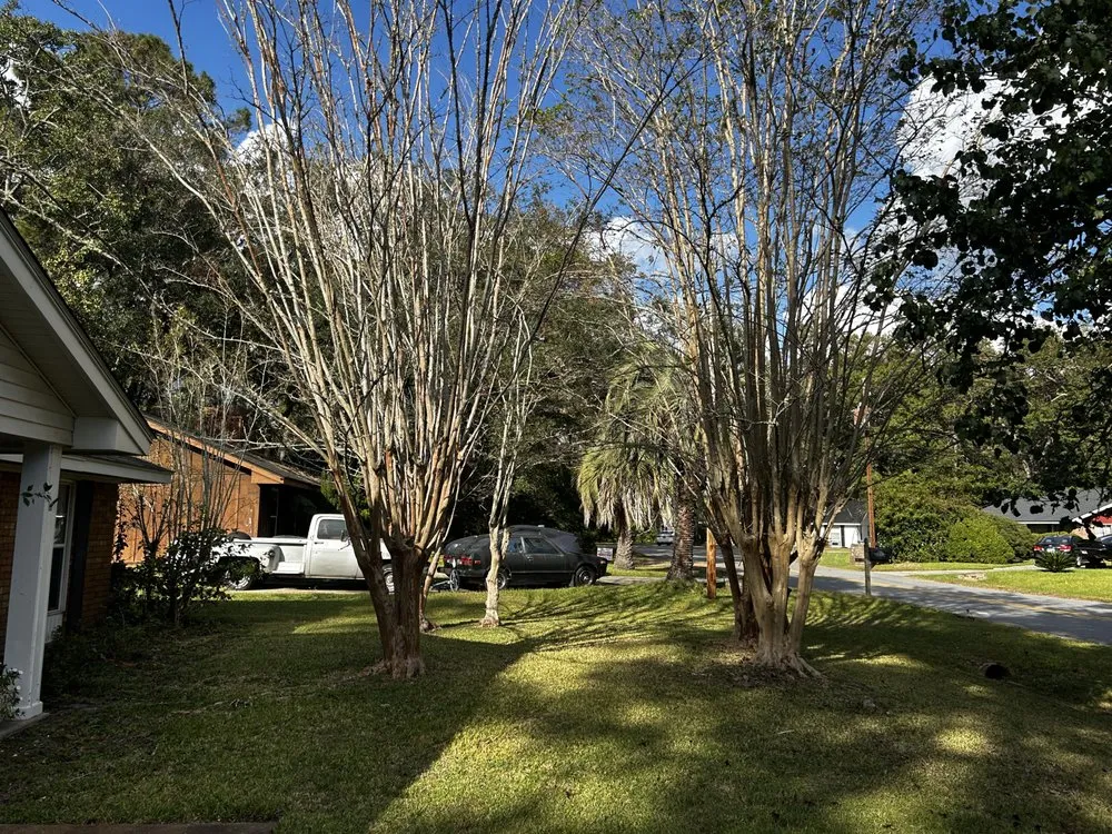 Custom landscape design in Ludowici, GA - Precision Property Solutions