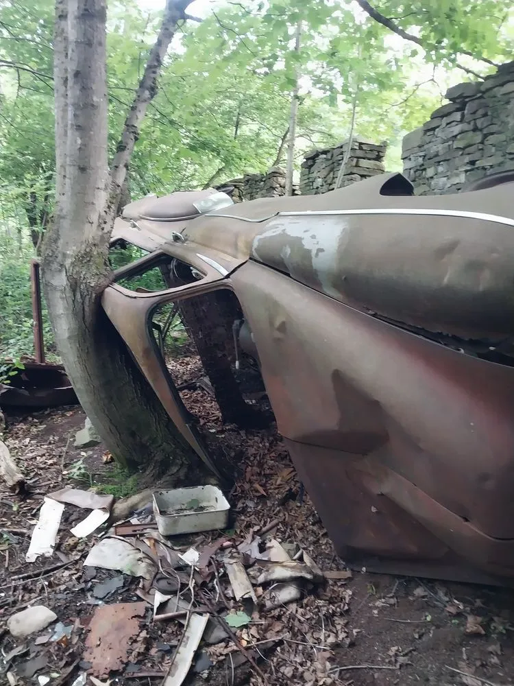 Expert landscaping services for year-round maintenance across Utica, NY - Precision Property Solutions