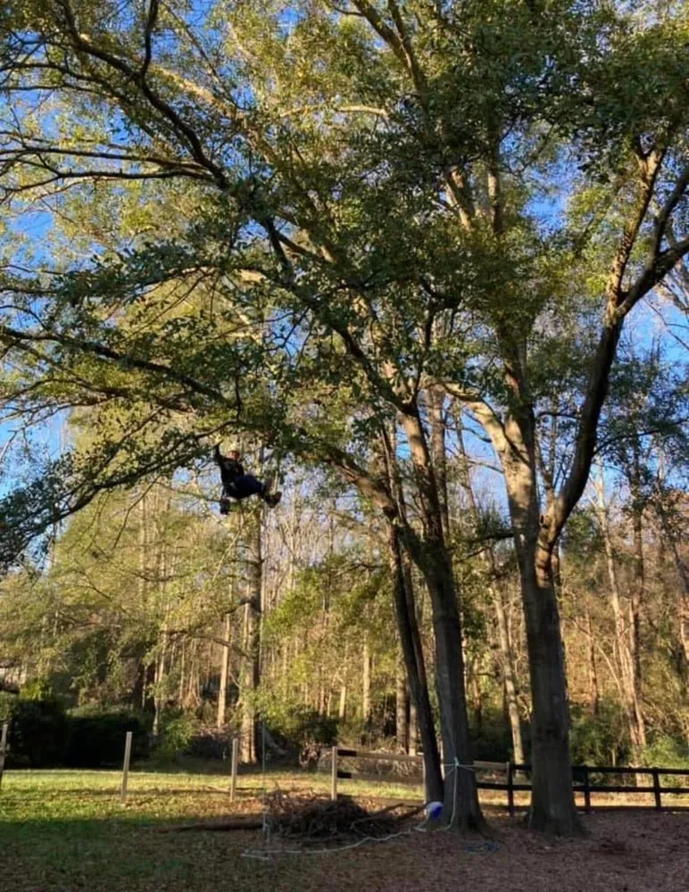 Trusted residential landscaping for year-round maintenance across Greer, SC - Precision Roots Land Solutions