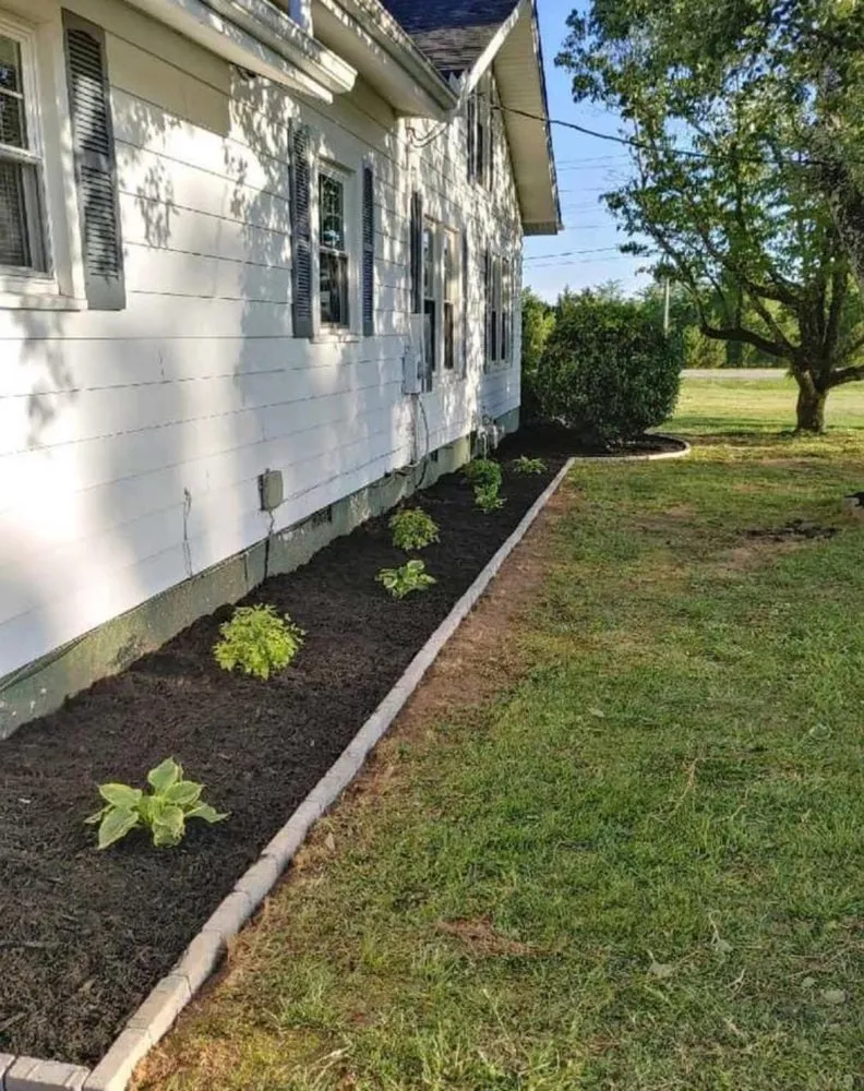 Affordable landscape design experts serving Greer, SC - Precision Roots Land Solutions