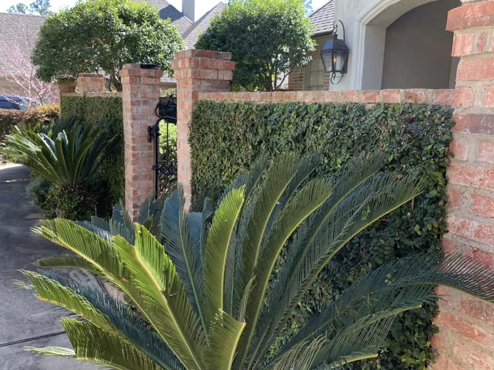 Reliable garden landscaping experts serving Shreveport, LA - Precision Scapes