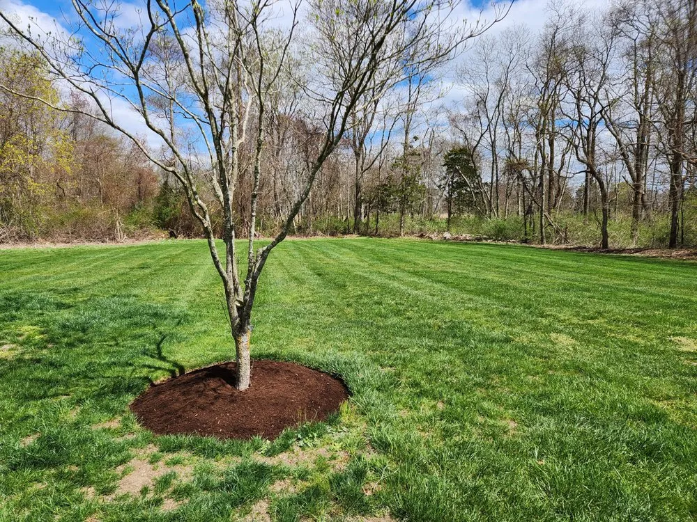 Affordable landscaping services for outdoor upgrades across Old Lyme, CT - Precision Sealcoating & Landscaping