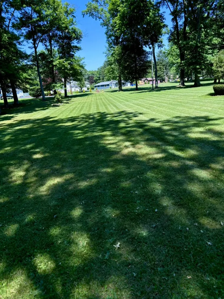 Top-rated lawn mowing service for homes in Hubbard, OH by Precision Services