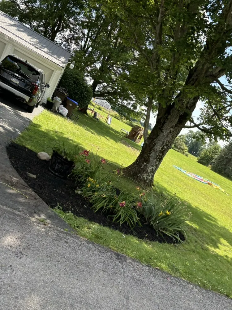 Expert yard cleanup service for homes across Hubbard, OH - Precision Services