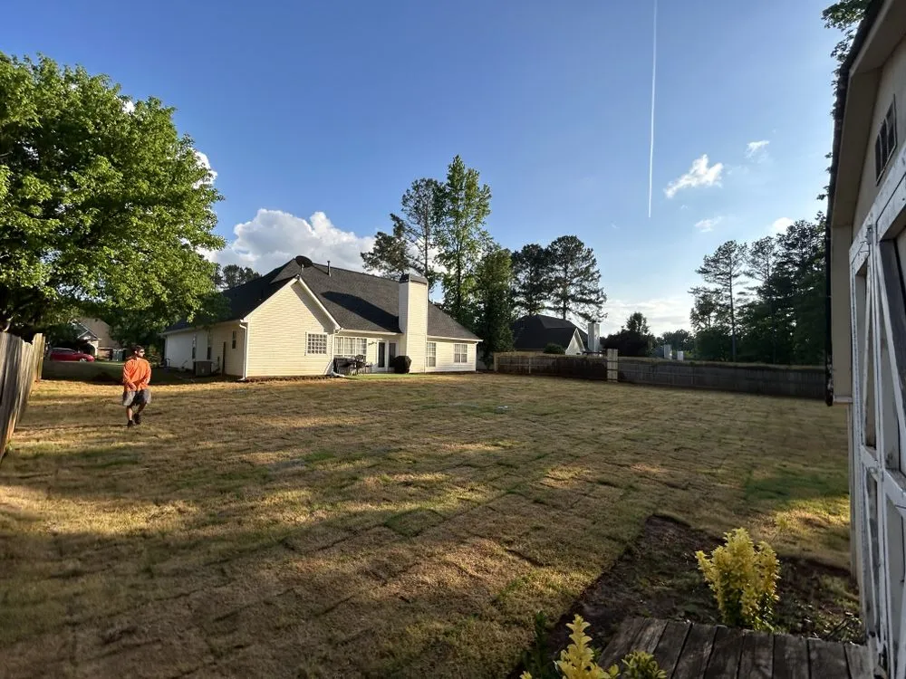 Expert landscaping services for beautiful yards across Newnan, GA - Precision Services