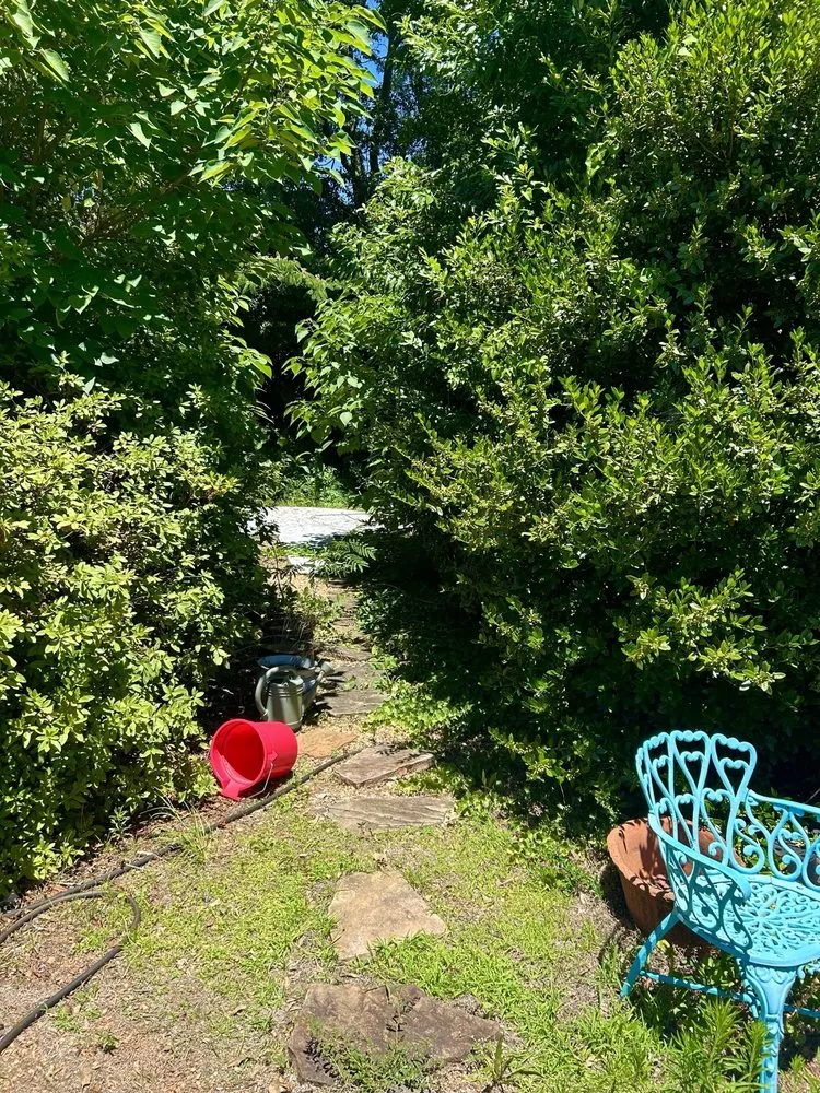 Trusted garden landscaping for outdoor upgrades across Newnan, GA - Precision Services