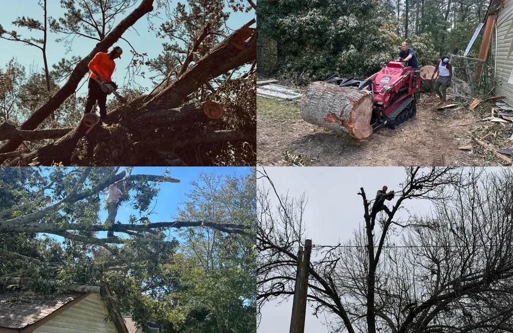 Affordable landscape installation in Newnan, GA - Precision Services