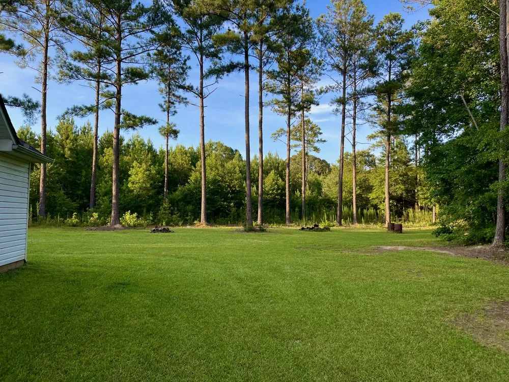 Custom residential landscaping in Newnan, GA - Precision Services