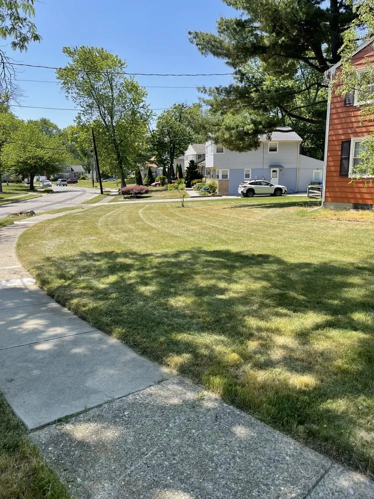 Custom yard cleanup service in Lumberton, NJ - Precision Solution Services