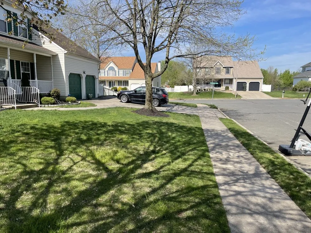 Local yard cleanup service in Lumberton, NJ - Precision Solution Services