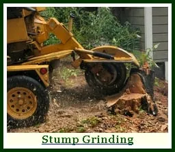 Affordable yard maintenance experts serving Hackettstown, NJ - Precision Tree & Landscape