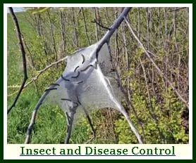 Affordable outdoor landscaping in Hackettstown, NJ - Precision Tree & Landscape