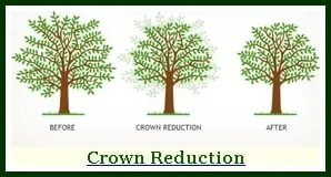 Expert residential landscaping experts serving Hackettstown, NJ - Precision Tree & Landscape