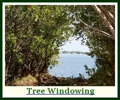 Trusted garden landscaping for beautiful yards in Hackettstown, NJ by Precision Tree & Landscape