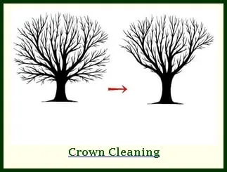 Reliable yard maintenance in Hackettstown, NJ by Precision Tree & Landscape