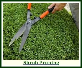 Custom yard maintenance for year-round maintenance in Hackettstown, NJ by Precision Tree & Landscape