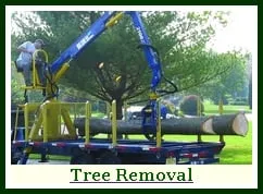 Trusted lawn care service experts serving Hackettstown, NJ - Precision Tree & Landscape