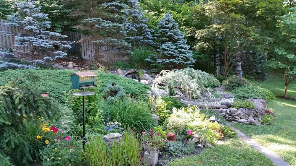 Expert yard cleanup service experts serving Hackettstown, NJ - Precision Tree & Landscape
