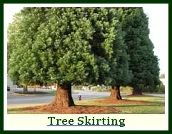 Custom residential landscaping in Hackettstown, NJ - Precision Tree & Landscape