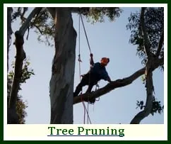 Local residential landscaping for beautiful yards in Hackettstown, NJ by Precision Tree & Landscape