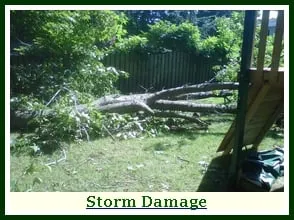 Trusted outdoor landscaping experts serving Hackettstown, NJ - Precision Tree & Landscape