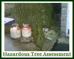 Professional yard cleanup service near you across Hackettstown, NJ - Precision Tree & Landscape