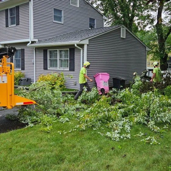 Local lawn care service in Hackettstown, NJ - Precision Tree & Landscape