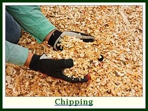 Top-rated yard cleanup service in Hackettstown, NJ by Precision Tree & Landscape